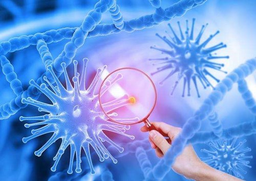 1604909384641083.jpg 2.jpg