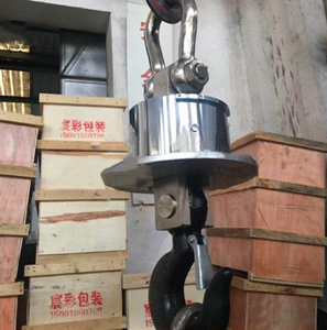 3吨无线耐高温吊秤 3吨无线耐高温吊秤