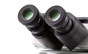 奥林巴斯Olympus显微镜BX53M的结构图解