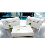 1609228838891460.jpg small_220091126073654.jpg