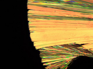 19偏光_MP41+MSX1+K3000-B 做高分子材料(药物观察)样品名称 尼群地平 1.jpg