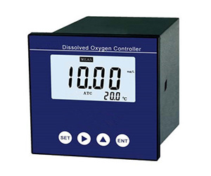 Do2000在线溶解氧测定仪(面板式)