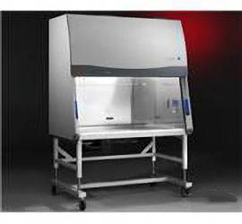 美国LABCONCO* 生物安全柜Type A2/Class II A2/