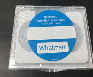 Whatman Nuclepore聚碳酸酯膜