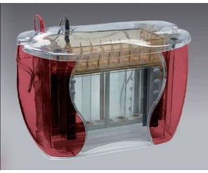 制备性垂直电泳系统Hoefer-SE600-Ruby