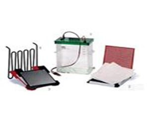 BIO-RAD Trans-BlotPlus电转印槽