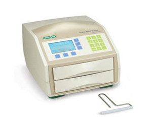 美国Bio-rad伯乐蛋白转印系统