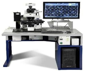 HANABI-Ⅱ染色体（微核）自动制备系统