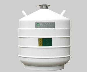 YDS-30-80液氮容器贮存系列
