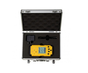 便携式多种气体检测仪 GFG-G300