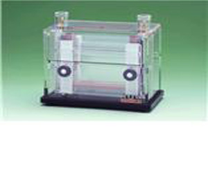 AE-6450垂直电泳槽