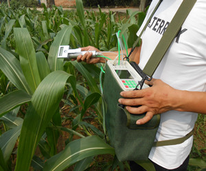 SY-1055植物呼吸作用测定仪