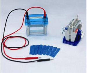 DYCZ-24EN型双垂直电泳槽（注塑）