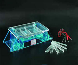 DYCP-37B型等电聚焦多用途电泳槽