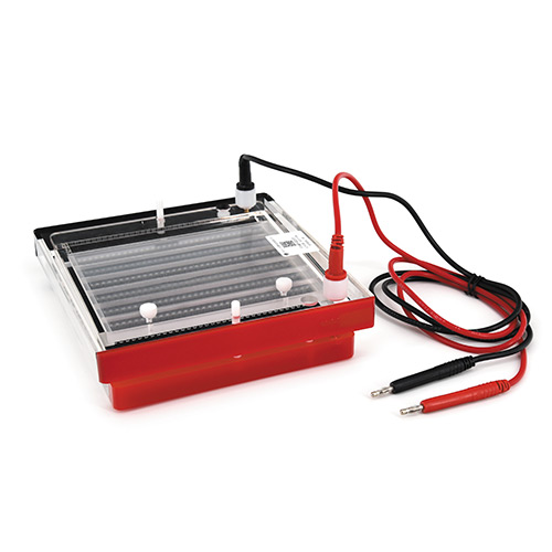 DYCP-44P/N型96孔快速凝胶电泳槽