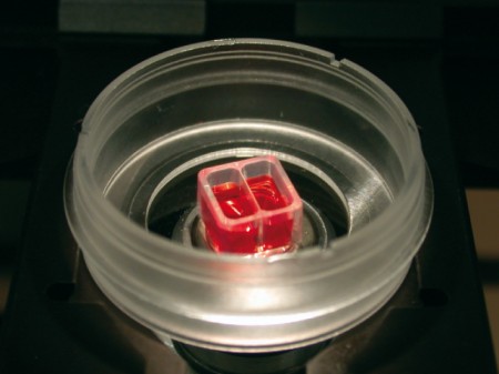 ibidi 易必迪 伤口愈合与迁移