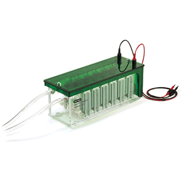 美国WealteES电泳槽c Mini-G