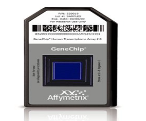 Affymetrix 100013 表达谱芯片