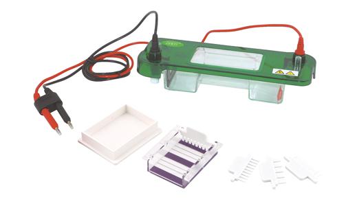 伯乐BIO-RAD Criterion 电泳槽165-6019