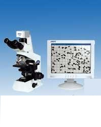 PIP8.1型颗粒图像处理仪