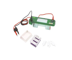 伯乐小型垂直电泳槽（Biorad Mini-PROTEAN Tetra Electrophoresis System）1