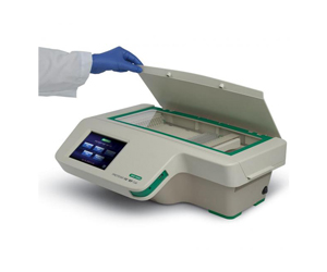 伯乐PROTEAN i12 IEF等电聚焦电泳系统