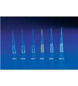 德国Brand 普兰德 原装1000ul带滤芯移液头