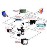 美国C & L Instruments多光谱荧光离子浓度测定系统