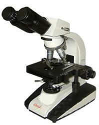 生物显微镜XBP-B4系列