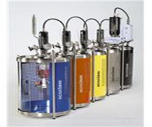 ecoclave经济型压力反应釜