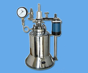 limbo高温高压反应釜（buchiglas)