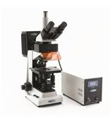 意大利optika三目荧光显微镜系列