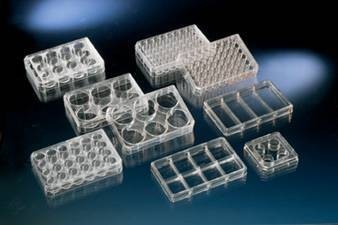 nunc多孔悬浮细胞培养板