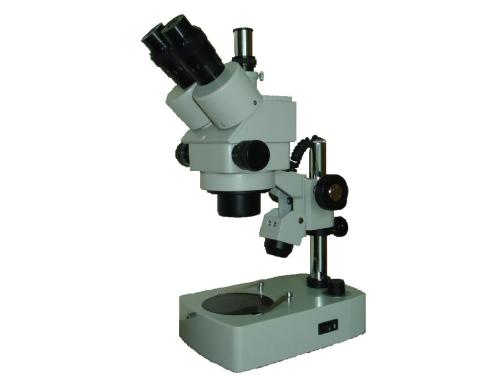双目型XTZ-240体视显微镜