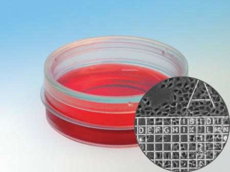 易必迪 ibidi 细胞培养皿 u-Dish 35mm, high/ 81156 81151