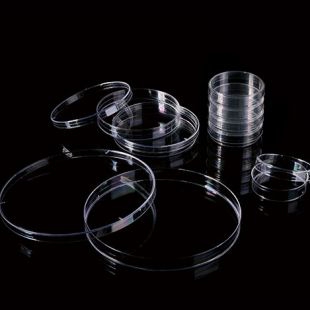 巴罗克细菌培养皿 66-1501 透明色 10个/袋 50袋/箱
