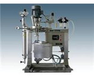 瑞士Premex气动升降反应釜Pinto