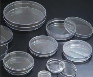 LabServ 35mm 细胞培养皿 聚苯乙烯材质310109009