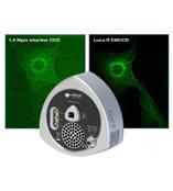 Luca超高性价比EMCCD相机