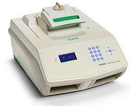 C1000和S1000伯乐 1000系列高性能PCR仪器