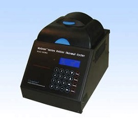 MG 96+ 型半导体式（精品型）PCR仪