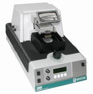 Vibratome 3000系列自动组织切片机