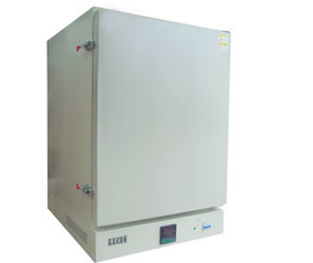 真空干燥箱- 真空度数显并控制DZF-6090LC