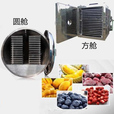 上海欣谕XY-GY-1000大型食品冻干机柠檬片冷冻干燥机冬虫夏草冷冻干燥机