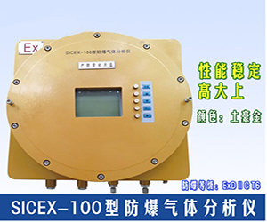 SICEX-100防爆型在线气体分析仪（H2、CO、O2）