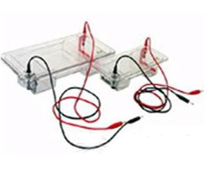 JY-SP系列（一次成型）水平电泳槽