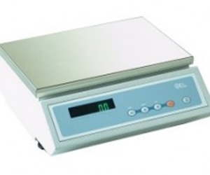 K16001顶加载天平