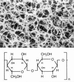 18407-013 N德国Sartorius再生纤维素（RC）膜片