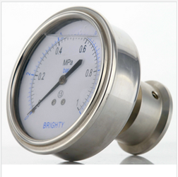 BLD布莱迪卫生型隔膜表医药设备管道专用压力表PTH-98.AO.513-F6