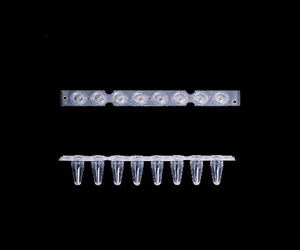 巴罗克 PCR管 八连管 超薄管壁 极快温度传导